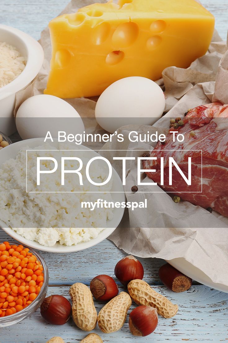 Beginner's Guide to Protein | My Fitness Pal | Protein powder and bars are t...
