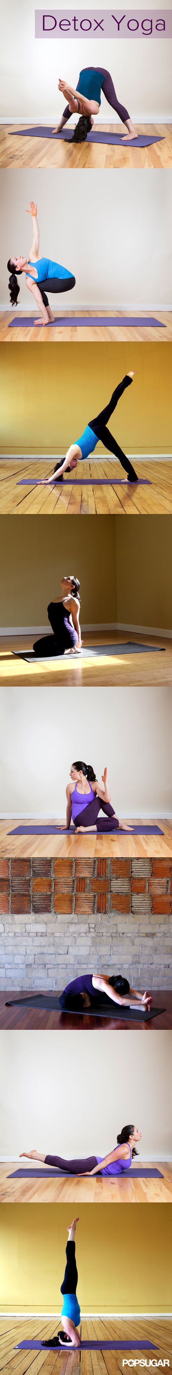 You have your circulatory, digestive, and lymphatic systems to thank for getting...